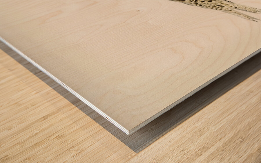 Glaucous gull Larus glaucus Wood print