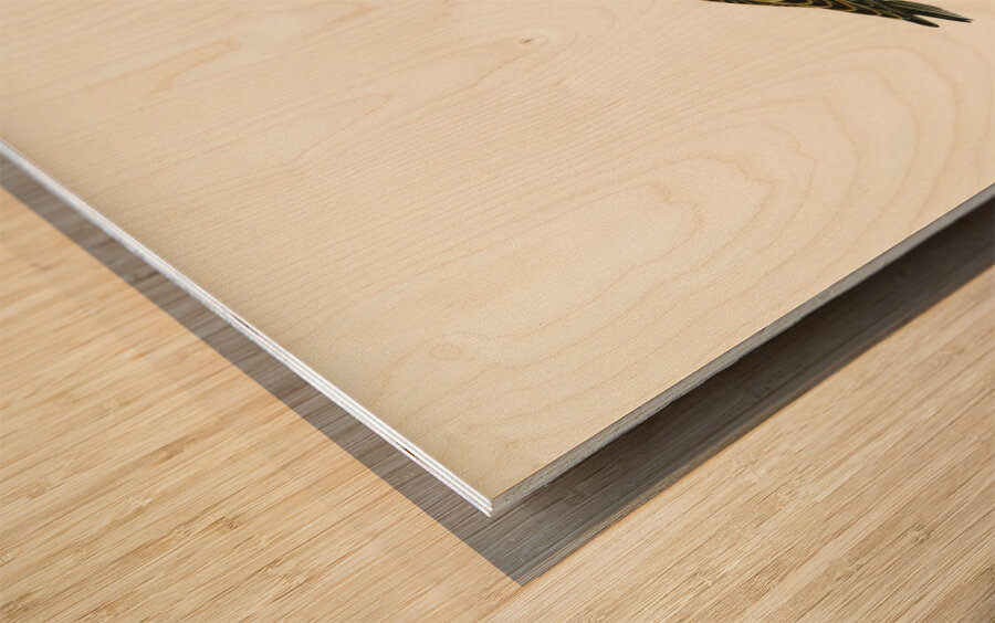 Dunlin Tringa Alpina Wood print