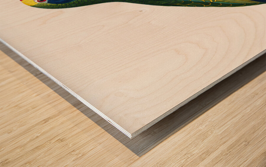 Red-and-blue amazon  Wood print