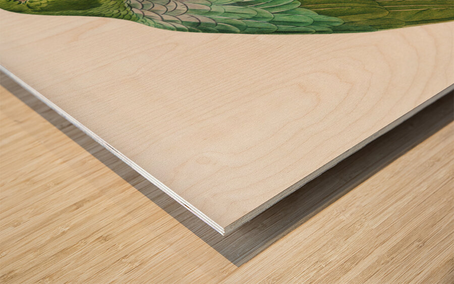 Red-and-blue amazon  Impression sur bois