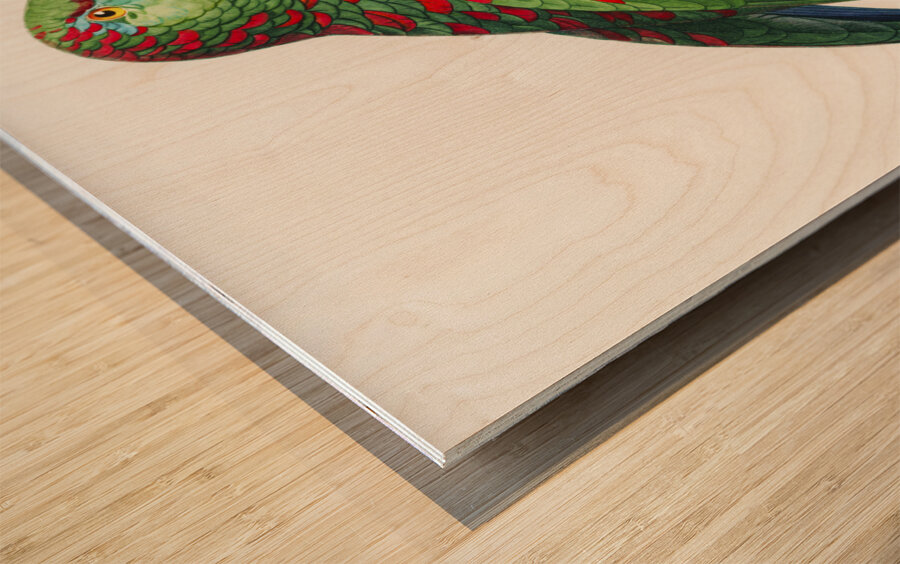 Black lory  Wood print