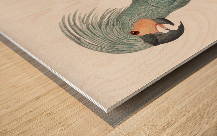 Goliath cockatoo  Wood print