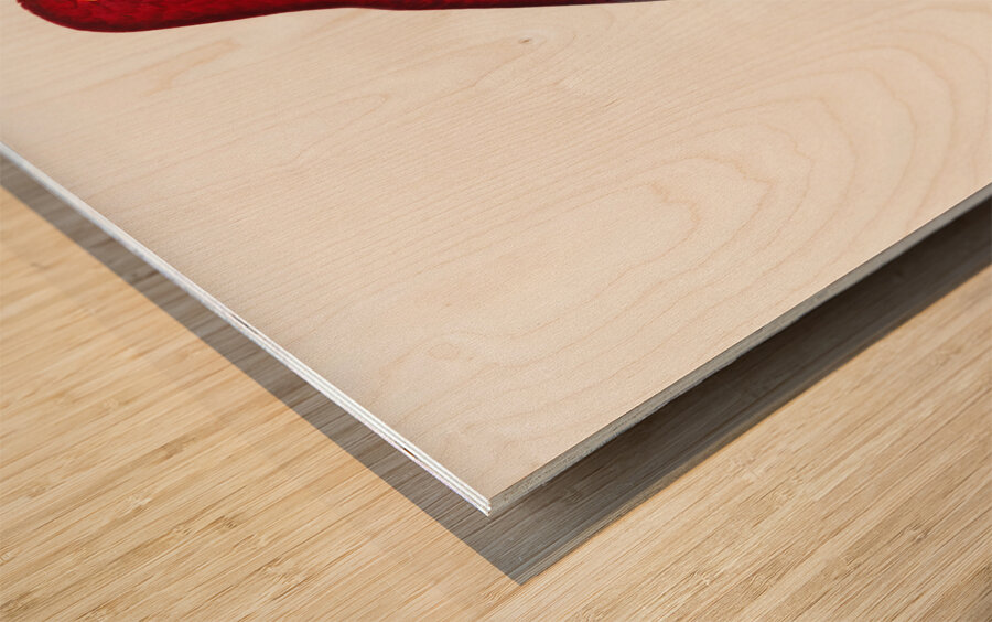 Crimson rosella  Wood print