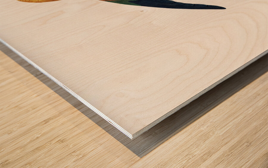 Sun parakeet  Wood print