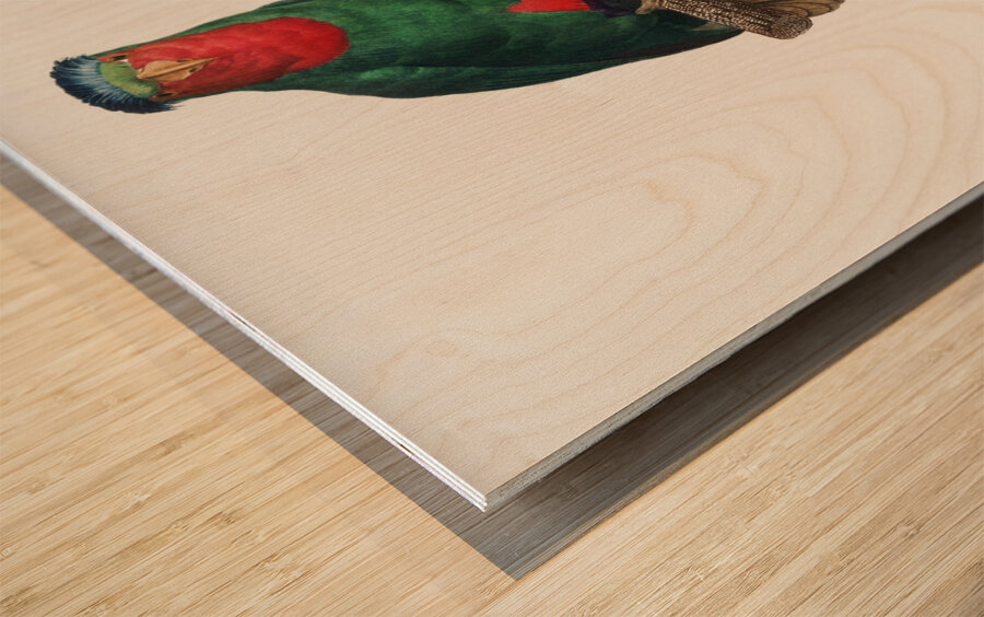 Blue-crowned lorikeet  Wood print