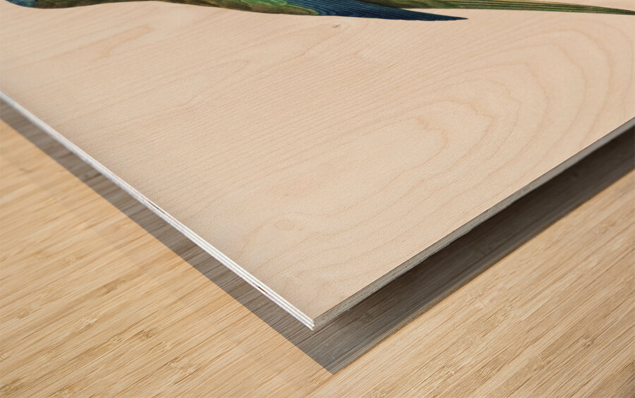 Turquoise parrot  Wood print