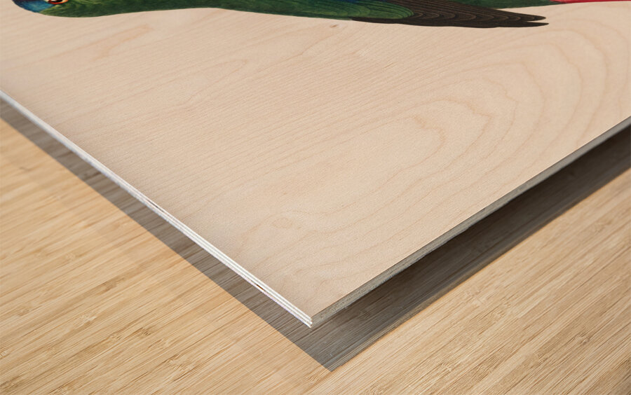 Swift parrot Wood print