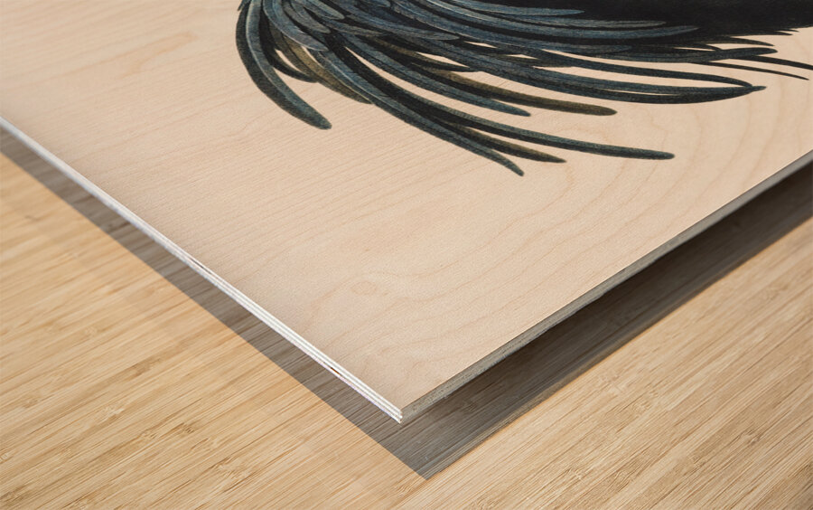 Goliath cockatoo  Wood print