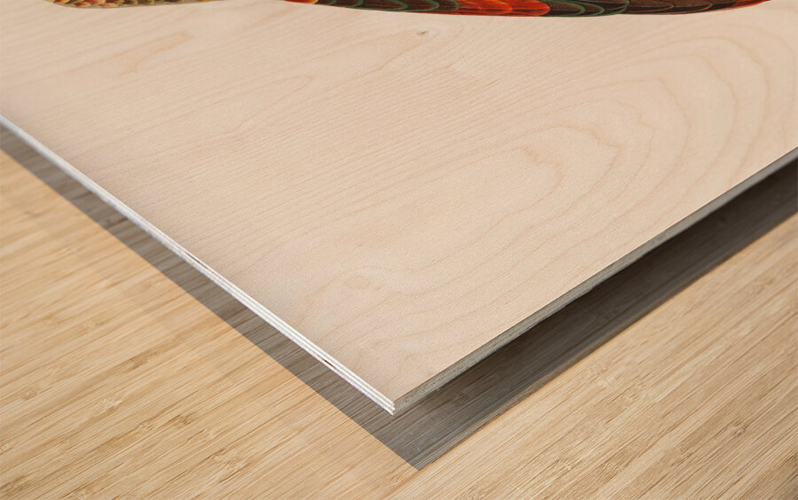 Brown-necked parrot  Wood print