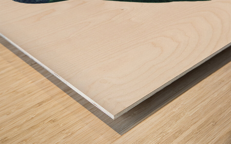 Blue-fronted amazon  Wood print