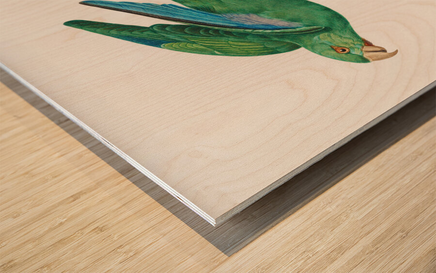 Marigold parakeet Wood print