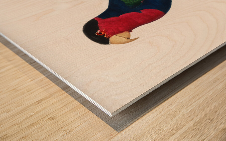 Western black-capped lory  Wood print