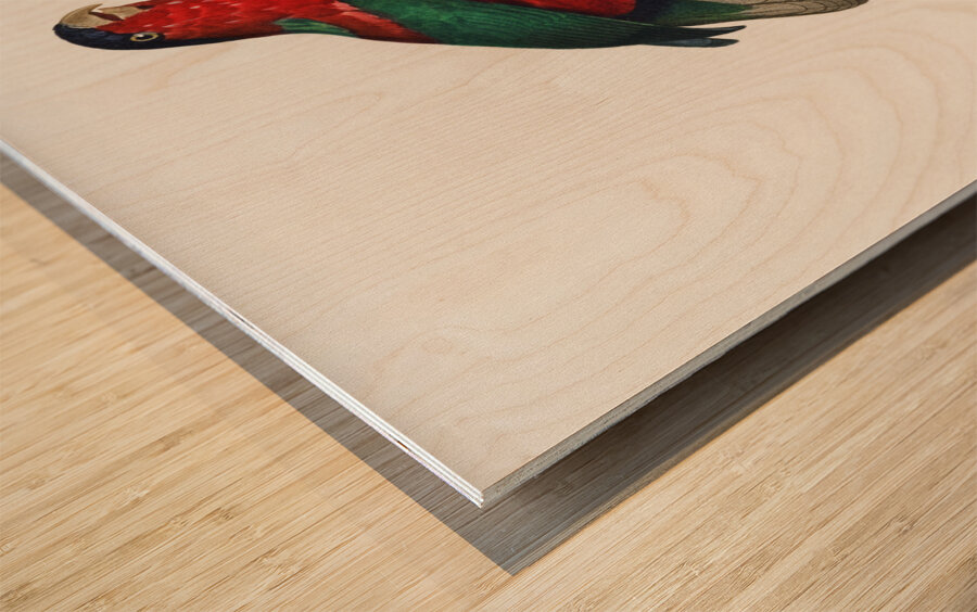 Pygmy parrot  Wood print