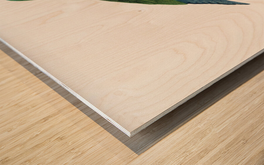 Illigers macaw  Wood print