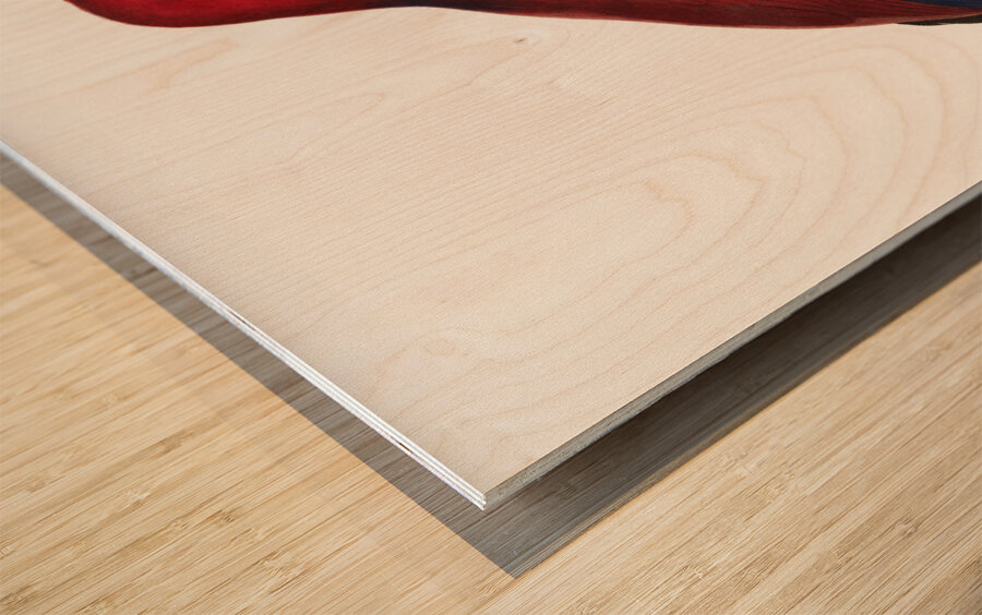 Eclectus parrot  Wood print