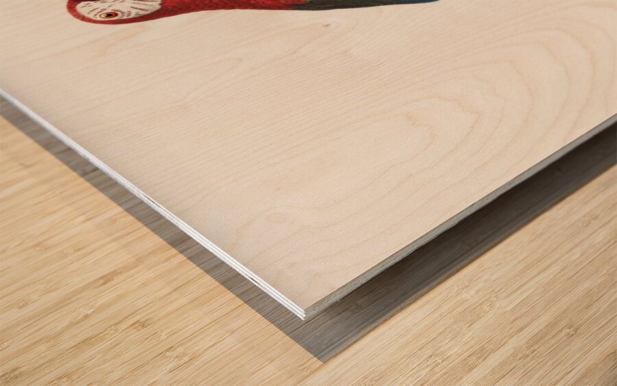 Scarlet macao  Wood print