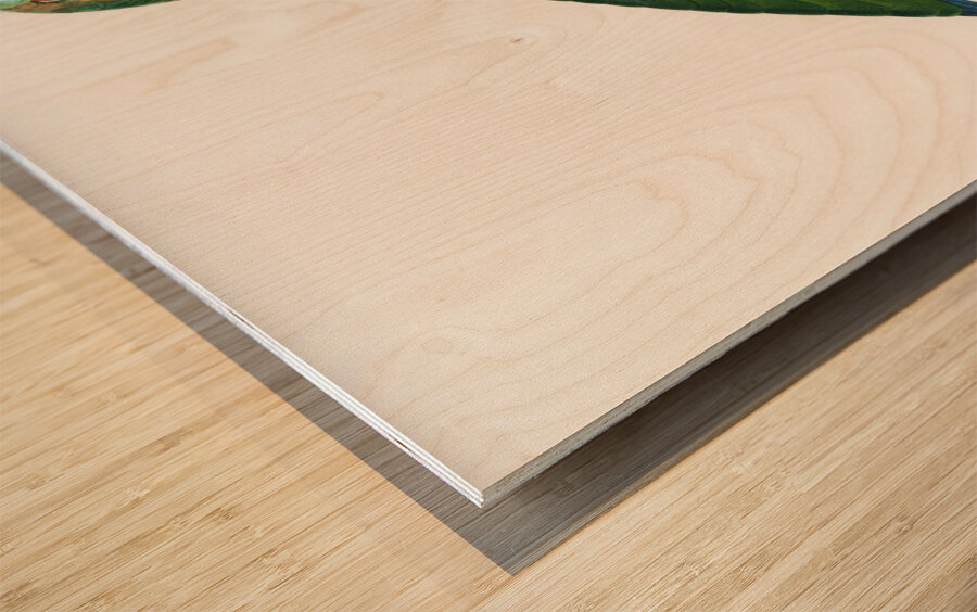 Blue-fronted amazon  Wood print