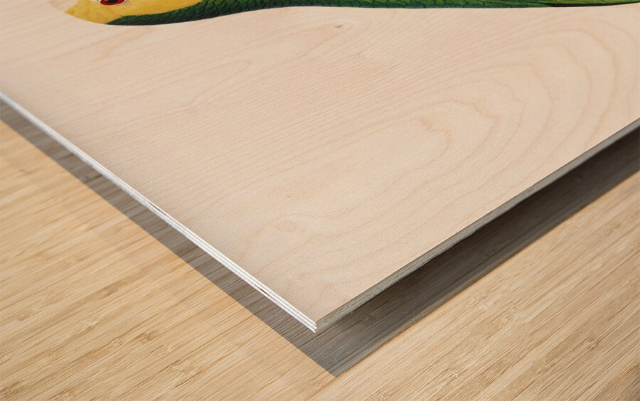 Yellow-shouldered amazon  Wood print