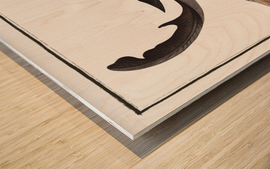 Balance Fish Squalus Zygaena Wood print