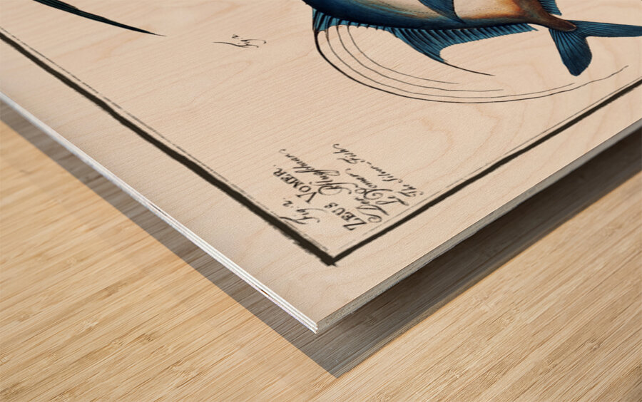 1.Chaetodon aureus 2. Silver Fish Zeus Vomer Wood print