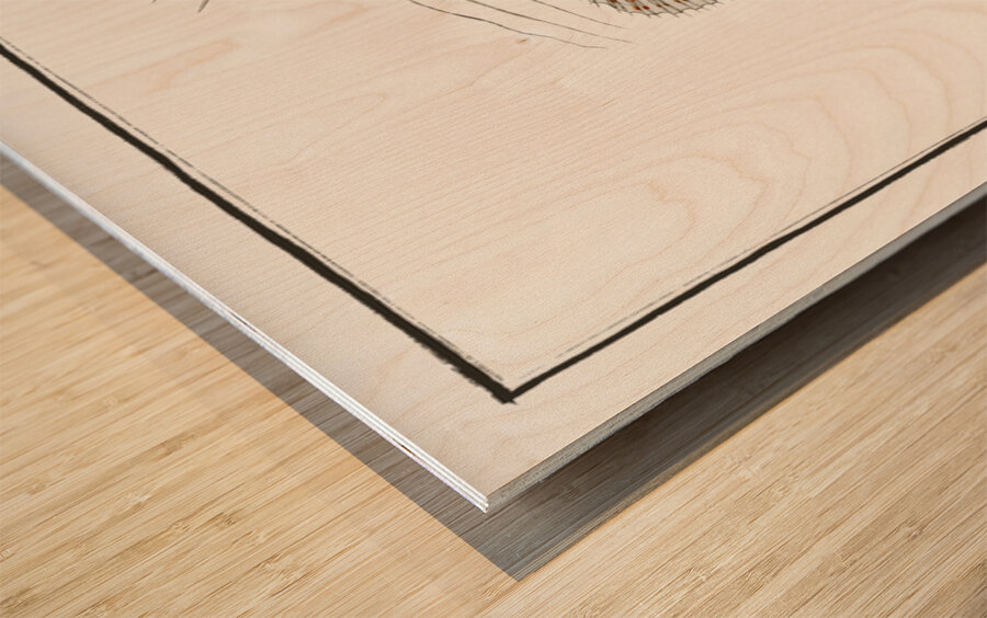 Scorpaena antennata Wood print