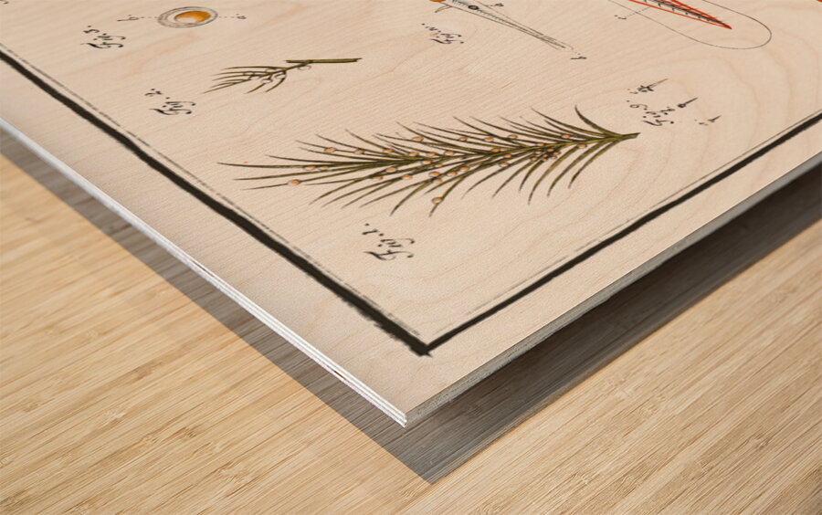 Fish hatching and growing Wood print