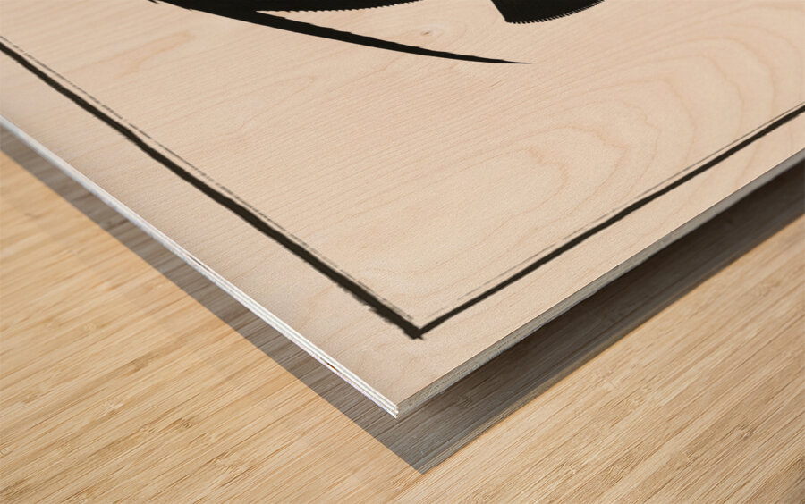 Variegated Angel-fish Chaetodon Paru Impression sur bois