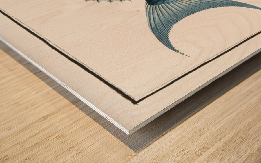 Bleu-Fish Coryphaena coerulea Wood print