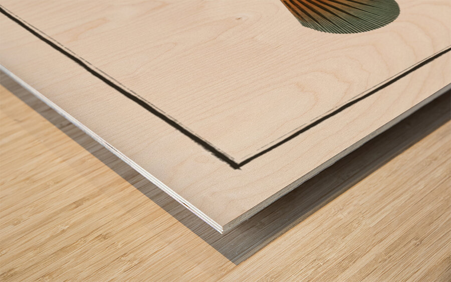 Square-Fish Ostracion cubicus Wood print