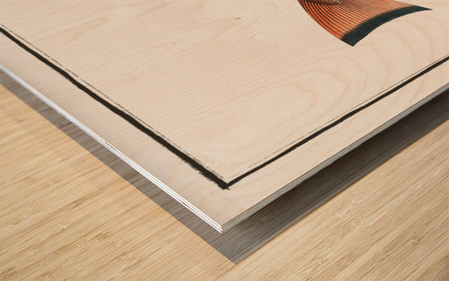 Whiting Pout Gadus Barbatus Wood print