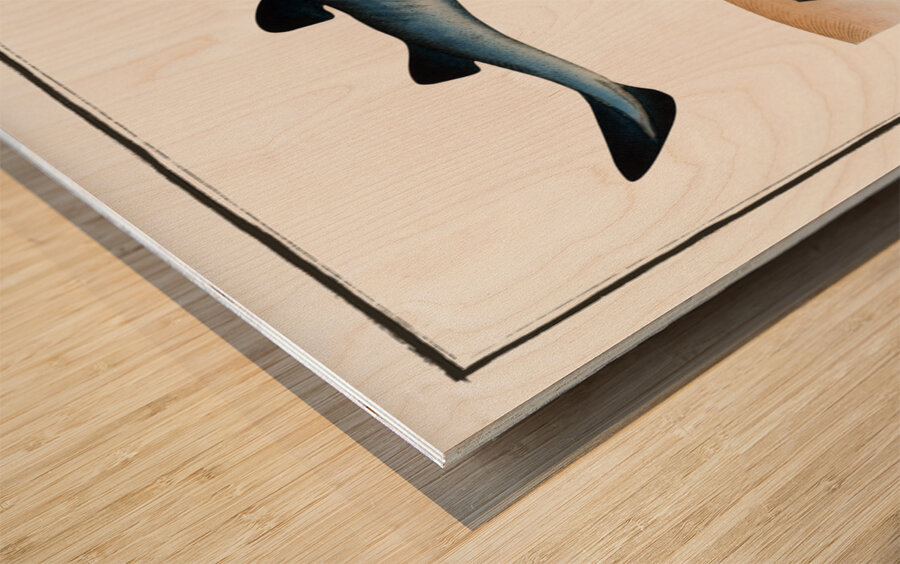 Saw-Fish Embrio Squali Pristis Wood print