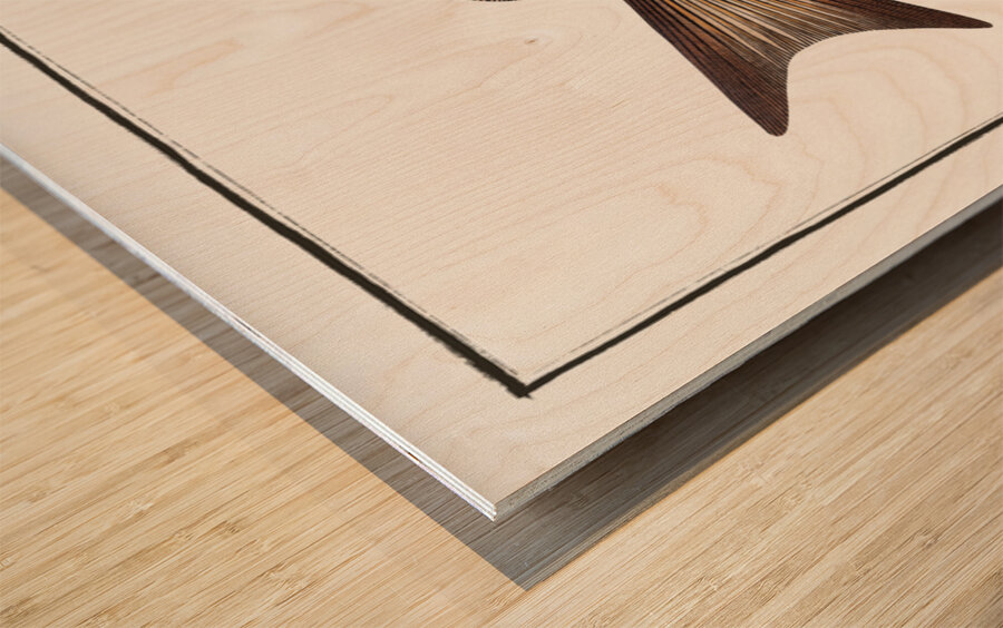 Great-scaled Bodian Bodianus macrolepidotus Wood print