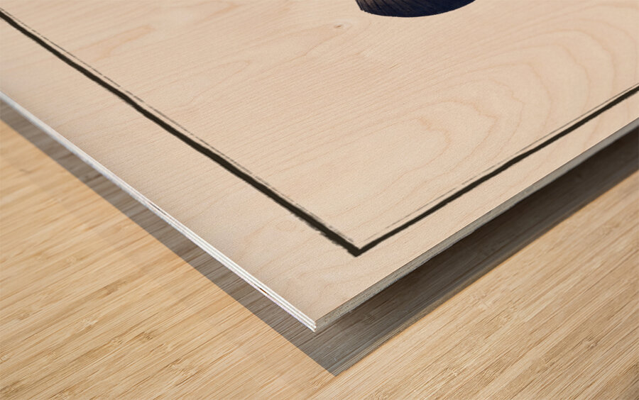 Boenack Bodianus Boenack Wood print