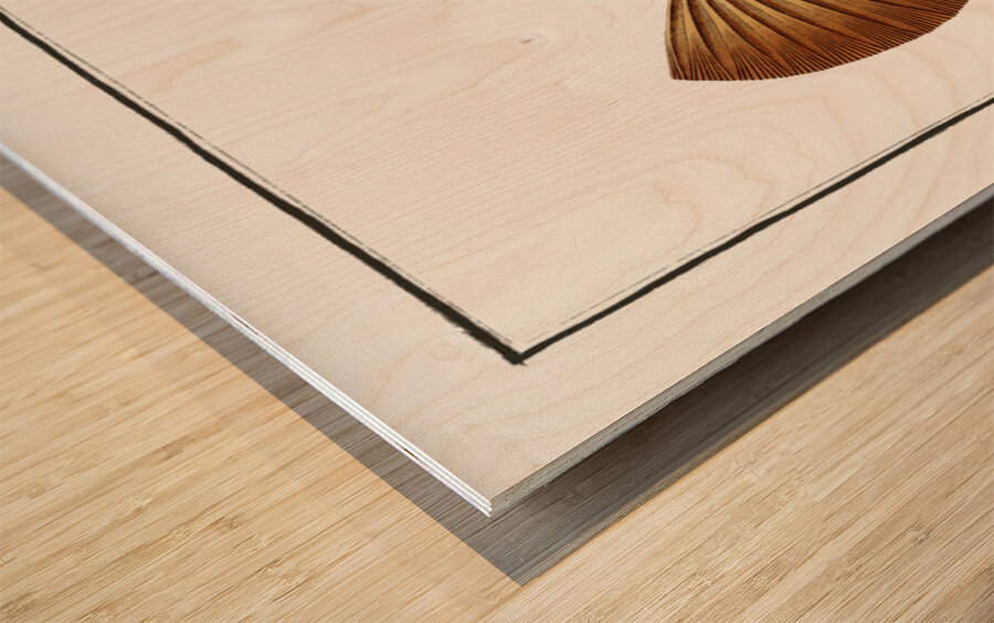 Cuckold-fish Ostracion Quadricornis Wood print