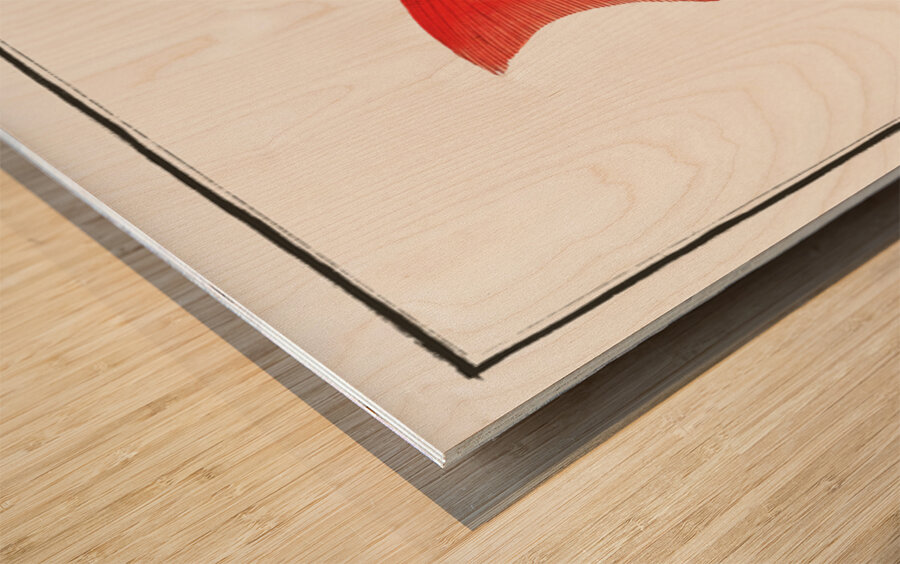 Vosmars Grunt Anthias Vosmeri Wood print