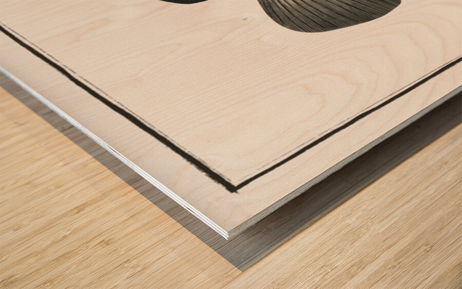 Black-Umber Sciaena nigra Wood print