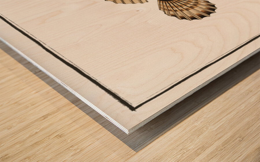 Scorpaena horrida Wood print