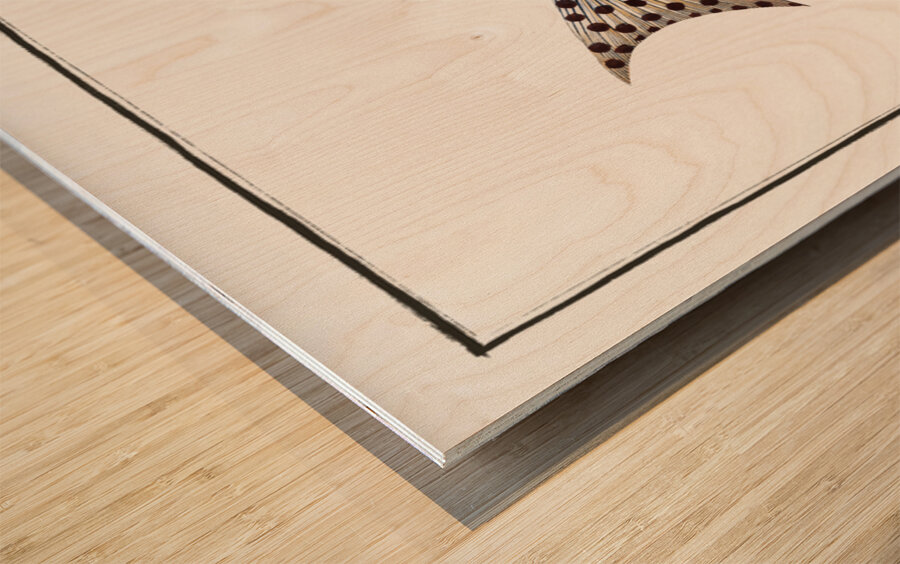 Checkred Holocentre Holocentrus tigrinus Wood print