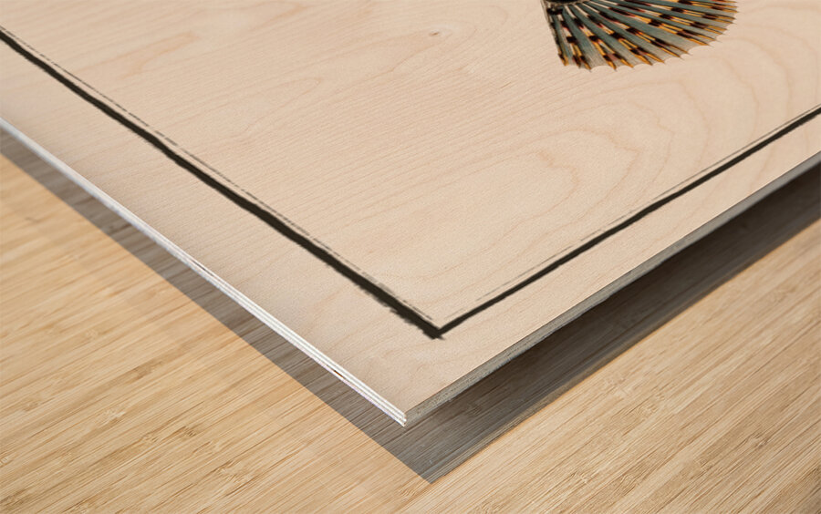 Father Lascher Cottus Scorpius Wood print