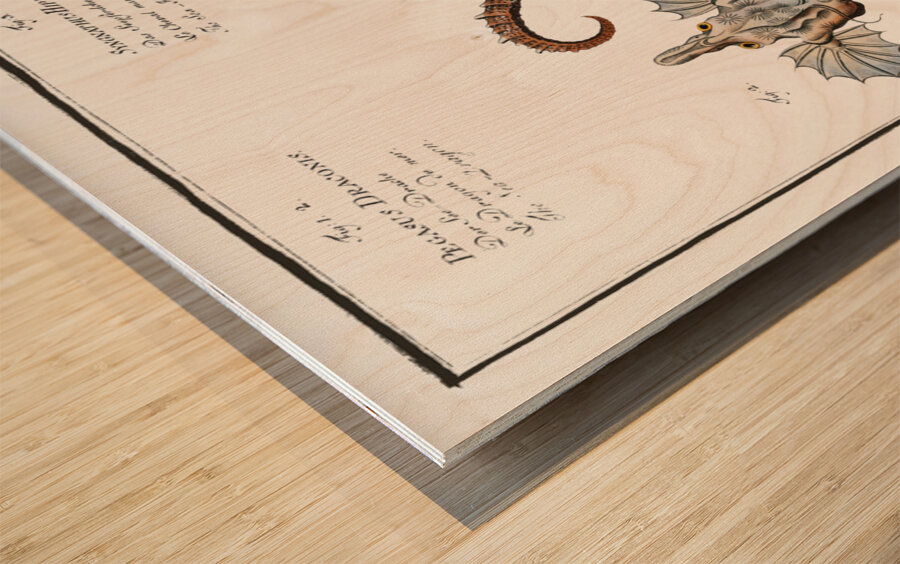 1. 2. Sea Dragon Pegasus Draconis 3. Sea-Horse Syngnathus Hippocampus 4. Sea-Pipe Syngnathus Pelagicus Wood print