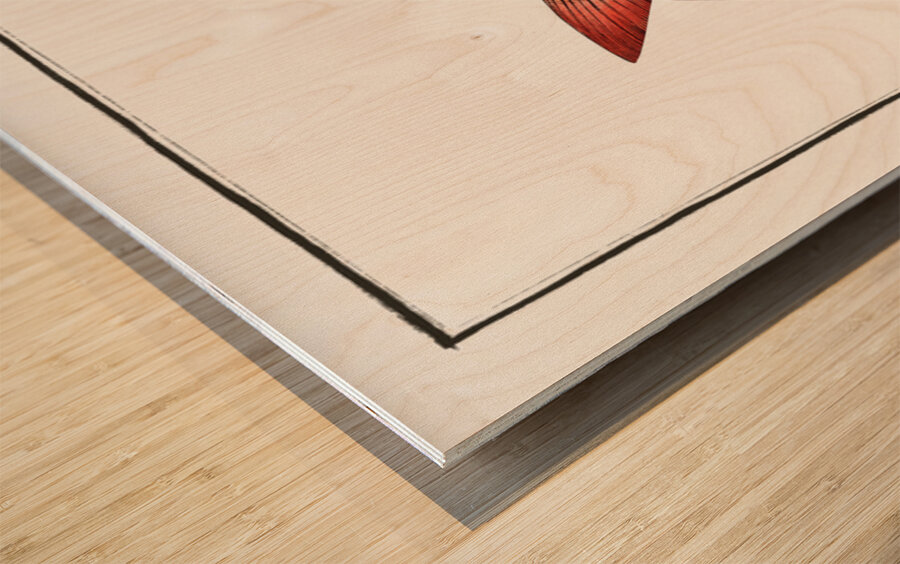 Sparus Brama Wood print