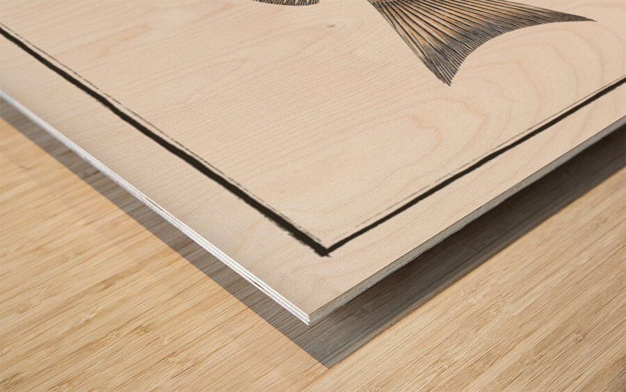 Green coloured Holocentre Holocentrus verescens Wood print