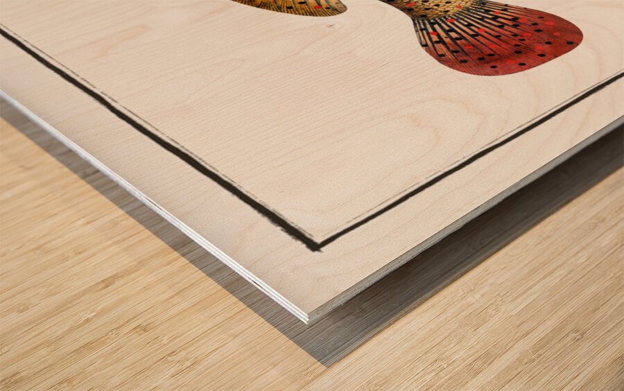 Punctulated Holocentre Holocentrus punctatus Wood print