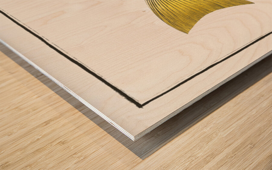 Plumiers Umber Sciaena Plümieri Wood print