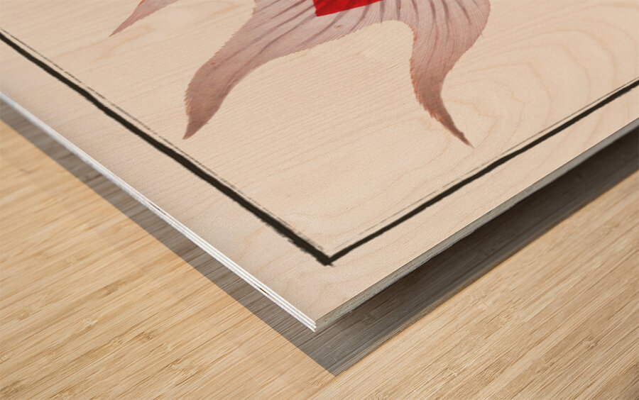 Telescope Cyprinus macrophthalmus Wood print