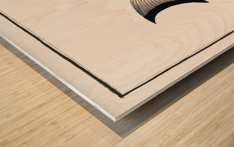 Rhomboidal Salmon Salmo rhombeus Wood print