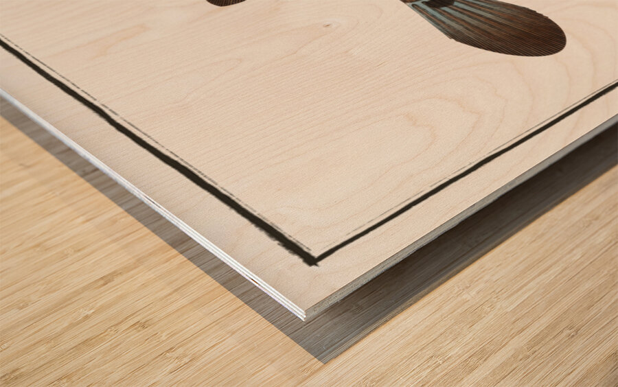 Turret-Porter Ostracion Turritus Wood print