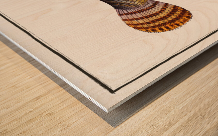 Pike of Malabar Esox malabaricus Wood print