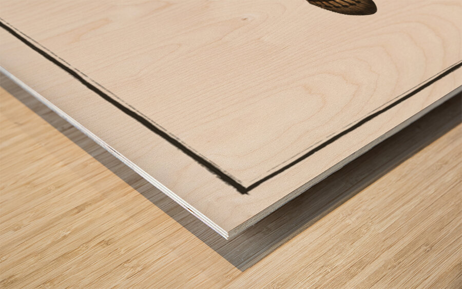 Gottus gruniens Wood print