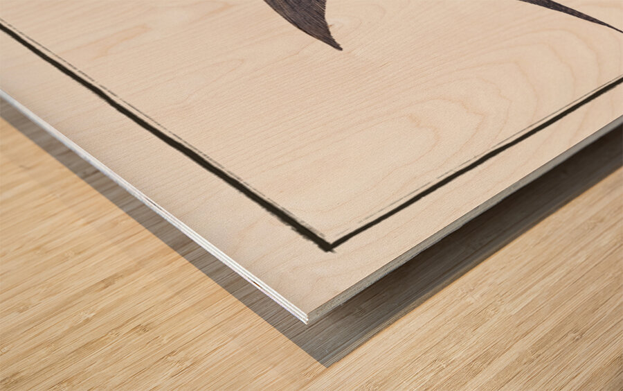 Gray Stromate Stromateus cinereus Wood print